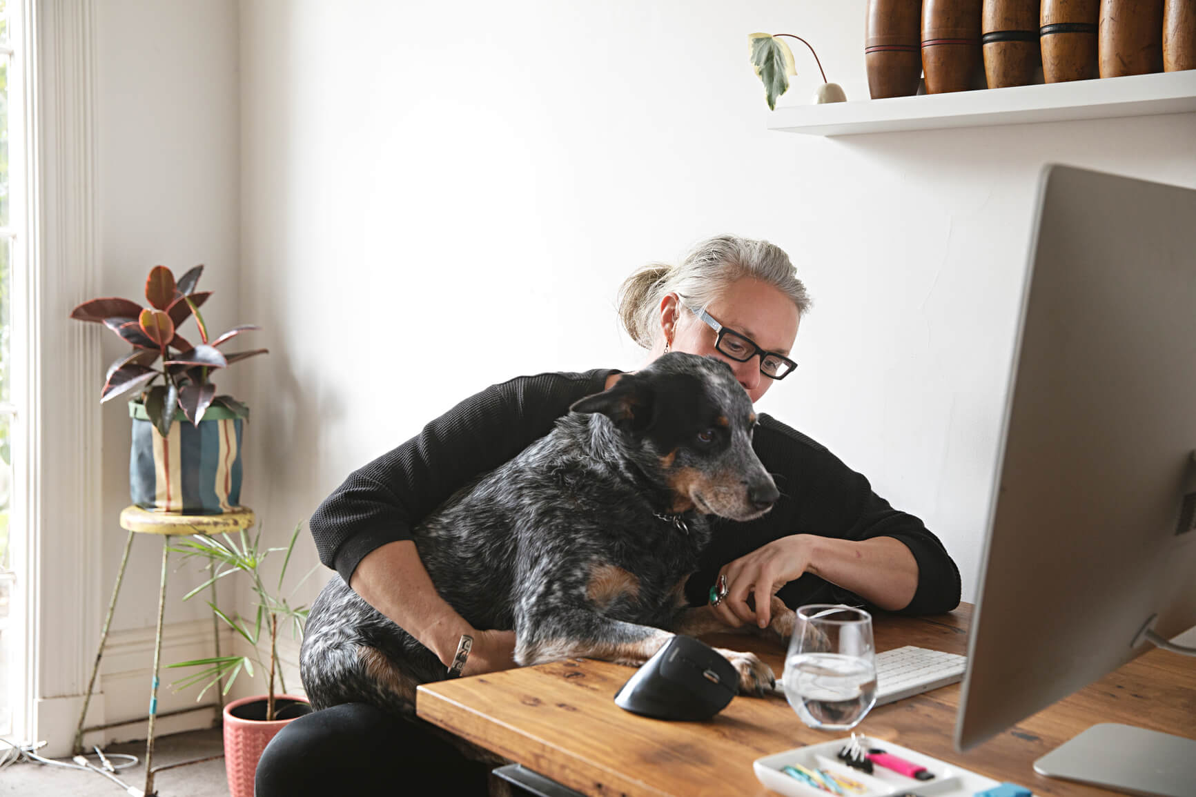 woman and dog at laptop